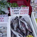 죽은<b>척한</b> 생태는 얼마??