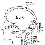 <b>지피</b>디의 뇌구조