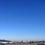 <b>화창</b>한날 안양천
