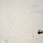 7월 달력 <b>바탕</b>화면1