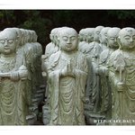 <b>남</b>양주군 <b>백</b>천사..