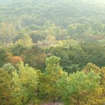 가을 <b>단풍</b>이 물든 산