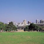 대구<b>달성</b>공원