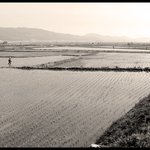 農村風景 (<b>농촌</b>풍경)