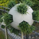 <b>잔디</b>축구공