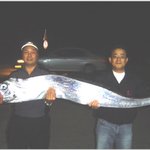 192cm 투라치… 엄청난 <b>갈치</b> 같죠?