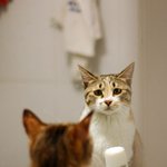 "아빠, 저 <b>거울</b> <b>속</b>에 억울한 아이는 누구여요???"