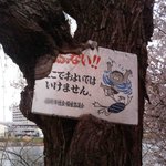 처절한 <b>익사</b>주의 표지판