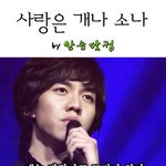 '사랑은 개나 <b>소나</b>' 세계적인 선풍!