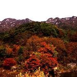 <b>팔공산</b>