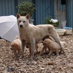 또<b>비네</b> 친구들