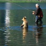 러시아 <b>곰들</b>은 사람들과 친해요~