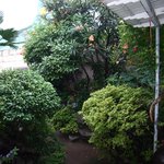 <b>구식</b> 정원