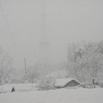 <b>폭설</b>...2004년3월5일