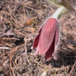 유혹(<b>lp</b>-3000)