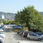 <b>천연</b>기념물 271호 - 서울 신림동 굴참나무