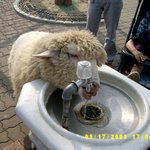 <b>목말</b>라도 체통을 ㅈ1켜야지-!!