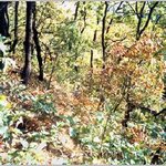 <b>배반</b>의 고장