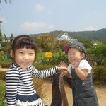 <b>허브</b> 아일랜드에서