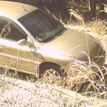 <b>리오</b>