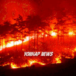 <b>식목일</b>, 전국 곳곳에서 산불