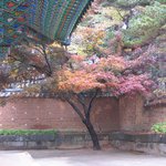 가을 낙산사-멋<b>지당</b>