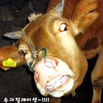 할말잇는소-!![소눈너무무섭어용<b>aa</b>]