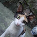 벌써어른이 다�耭楮�