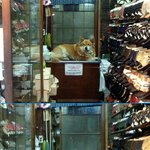 신발가게 알<b>바생</b>