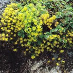 <b>지리산</b>풍경