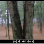 어거지