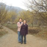 경기 이천 백사면 <b>산수유</b> 마을을 찾아서....