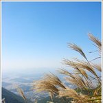 <b>시원</b>함을찾아~