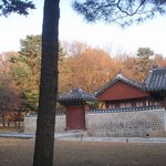 봐줄만해서 올립<b>니더</b>예26