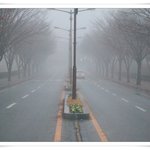 병술년첫비를 찍어봤어여