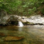 <b>치악산</b> 부곡계곡 -2