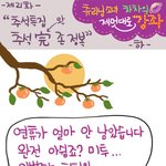 [차차] 추석 완전 <b>정복</b>