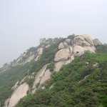 수락산 &amp; 아카시아꽃