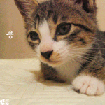 자다 일어나 <b>성질</b> 부리는 지니