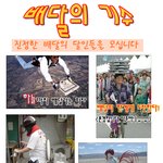 진정한 배달의 <b>기수</b>들