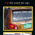 엽기적인 초보운전<b>문구</b>
