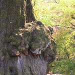 이 장소는.. 경기도 <b>양평</b> 용문사