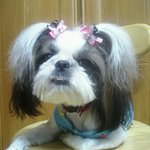 울딸<b>래미</b>..동이