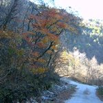 민둥산의 만추