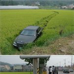 <b>김여사</b> 또 사고쳤네