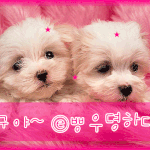 01~02년대를 <b>강타</b>했던 인터넷문화 ㅋㅋㅋㅋㅋㅋ
