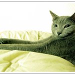 으아~이런 <b>모습</b> <b>처음</b>이야