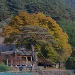 <b>한적</b>함