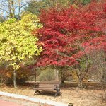 용문산 <b>입구</b> - 운치있는 벤치...