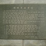 오동도의 나무들(1)